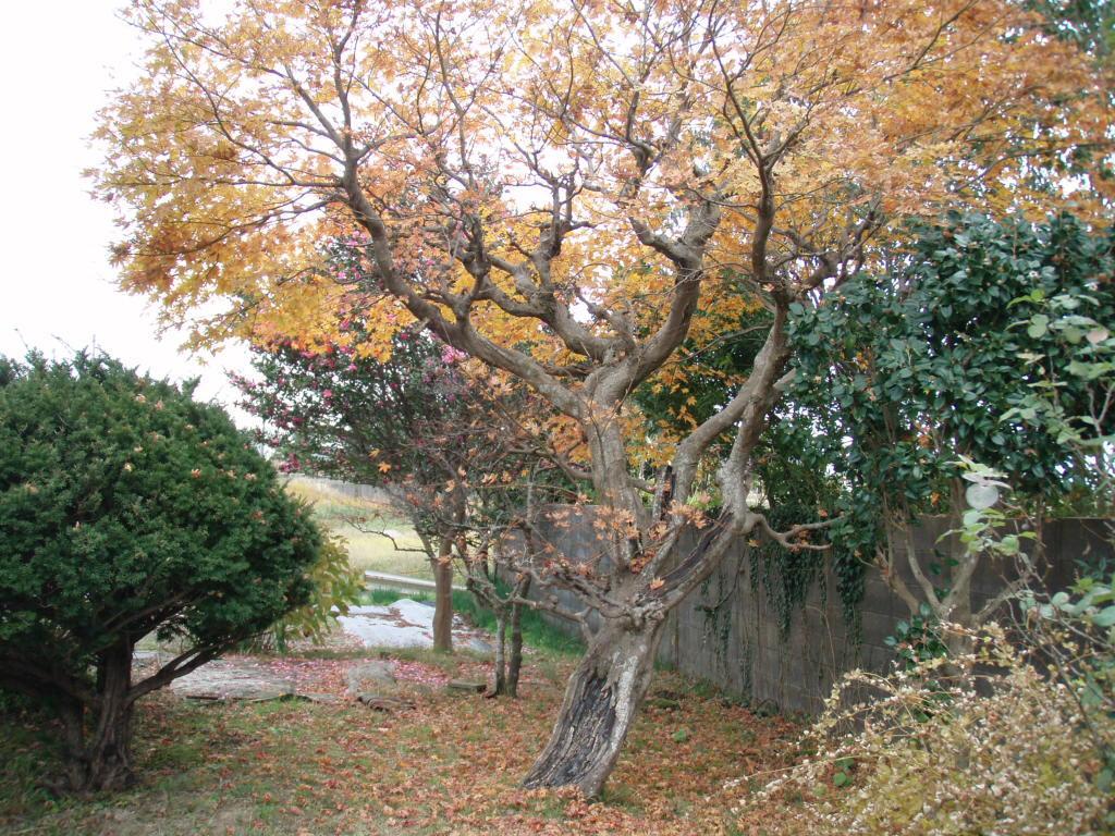 Guesthouse Hokkai Nanao Zewnętrze zdjęcie